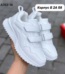 Одежда