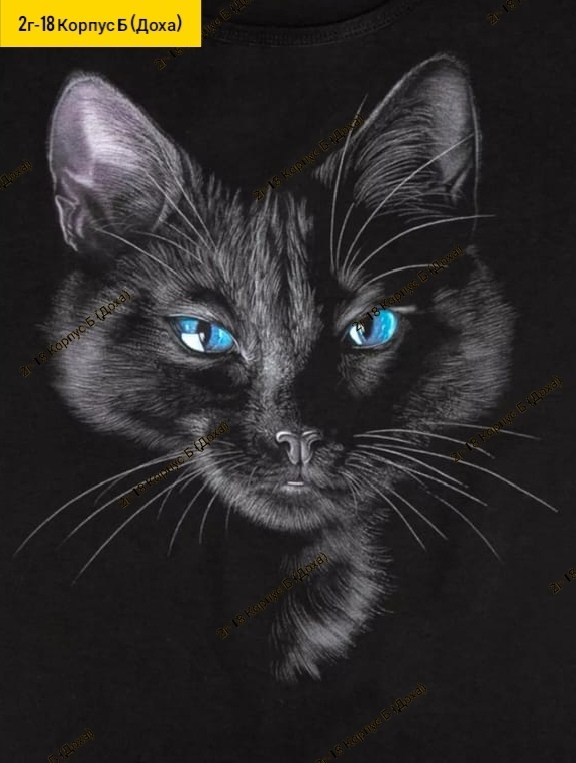 футболки женская,черный кот с голубыми глазами,чëрная кошка,красивая черная кошка,кошка