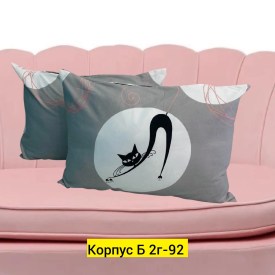 Одежда