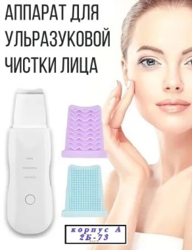 Одежда