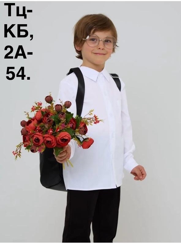 школьная рубашка для мальчика,рубашка для мальчиков,белая рубашка для мальчика,рубашка для мальчика в школу,школьная рубашка