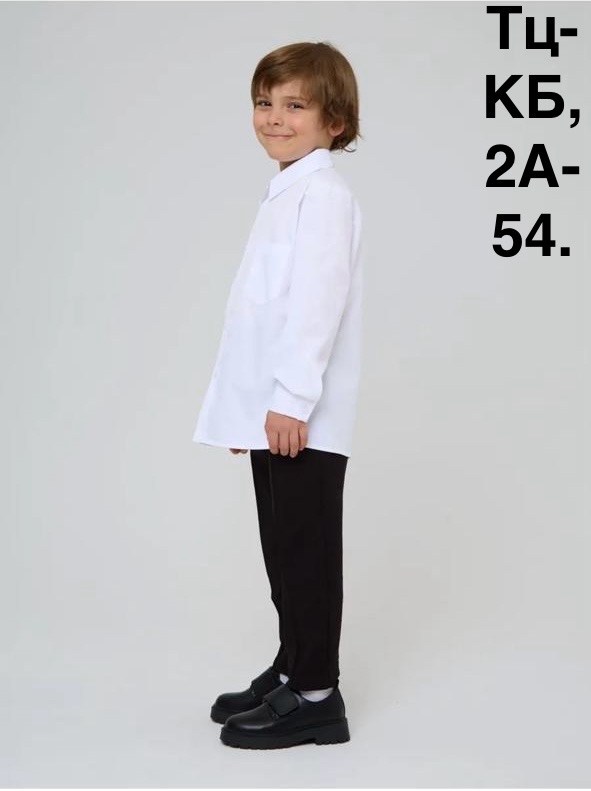 школьная рубашка для мальчика,рубашка для мальчиков,белая рубашка для мальчика,рубашка для мальчика в школу,школьная рубашка