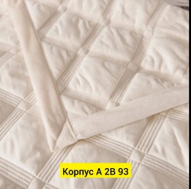 Одежда