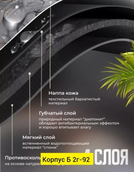 Одежда