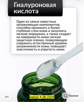 Одежда