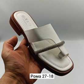 Сланцы
