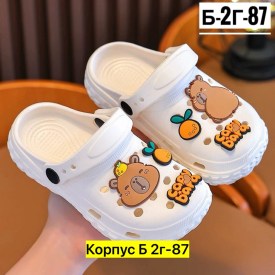 Сланцы