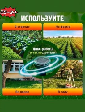 Новый год