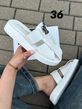 Сланцы