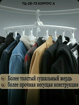 Одежда