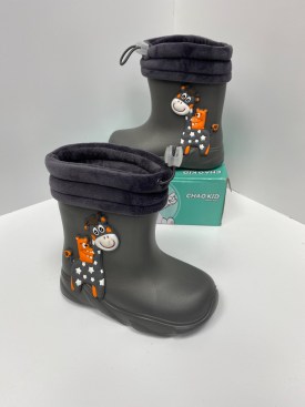 Сапоги
