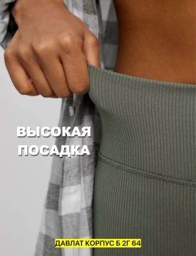 Лосины
