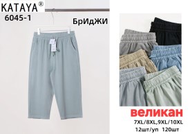 Шорты