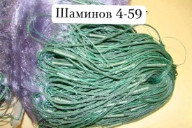 Одежда