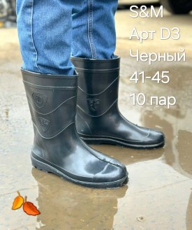 Сапоги