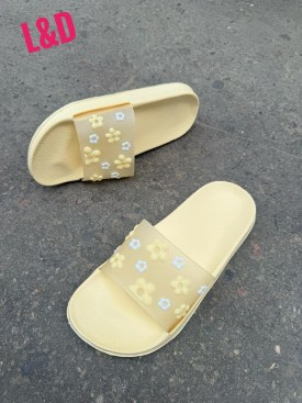 Сланцы