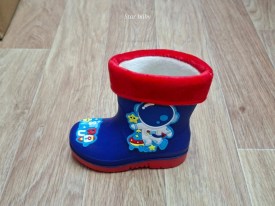 Сапоги