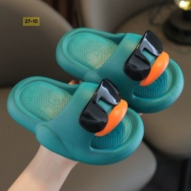 Сланцы
