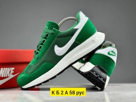 Одежда