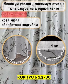 Одежда