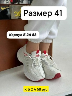 Одежда