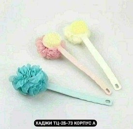Одежда