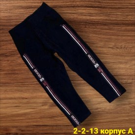 Штаны