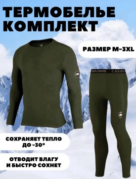 Одежда