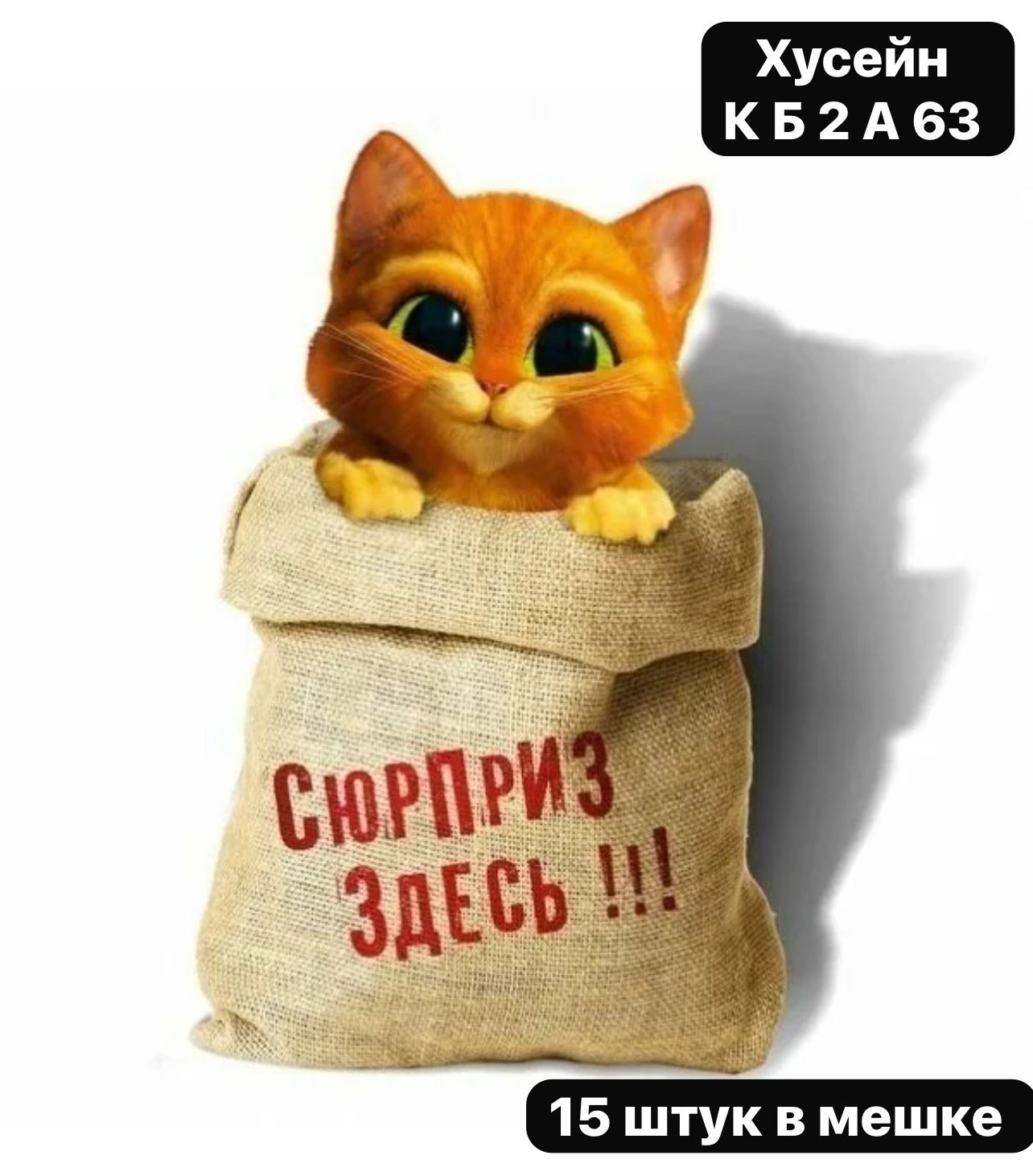 кот в мешке,кот в мешке игра,сюрприз кот в мешке,кот в мешке значение,котик