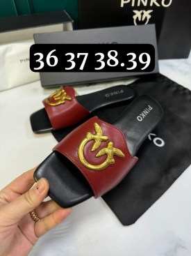 Сланцы