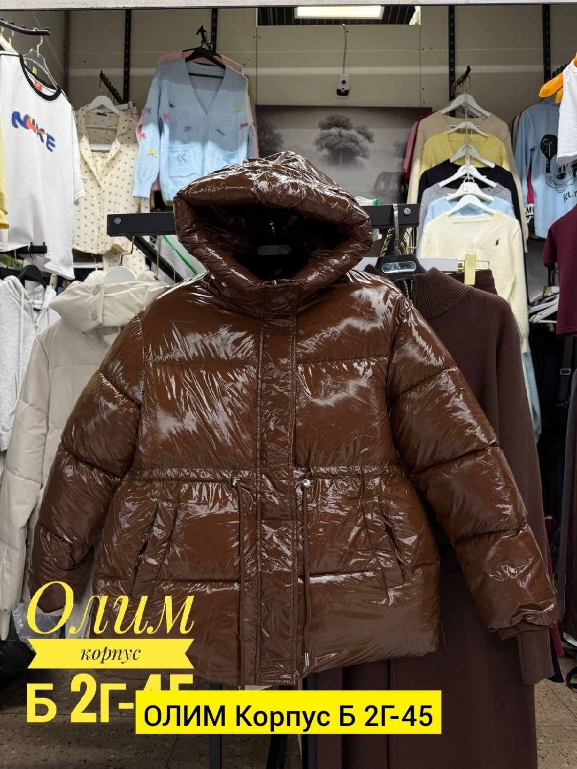 куртка,женская куртка,куртка модная,зимние куртки,женские пуховики