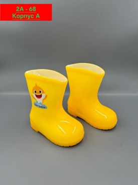 Сапоги