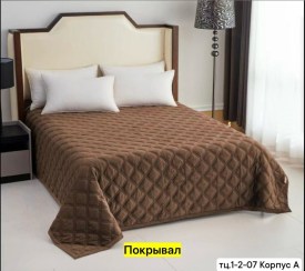 Одежда