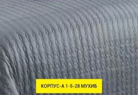 Одежда