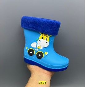 Сапоги