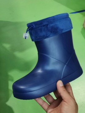 Сапоги