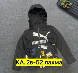Верхняя одежда