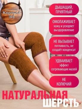 Одежда