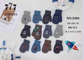 Одежда
