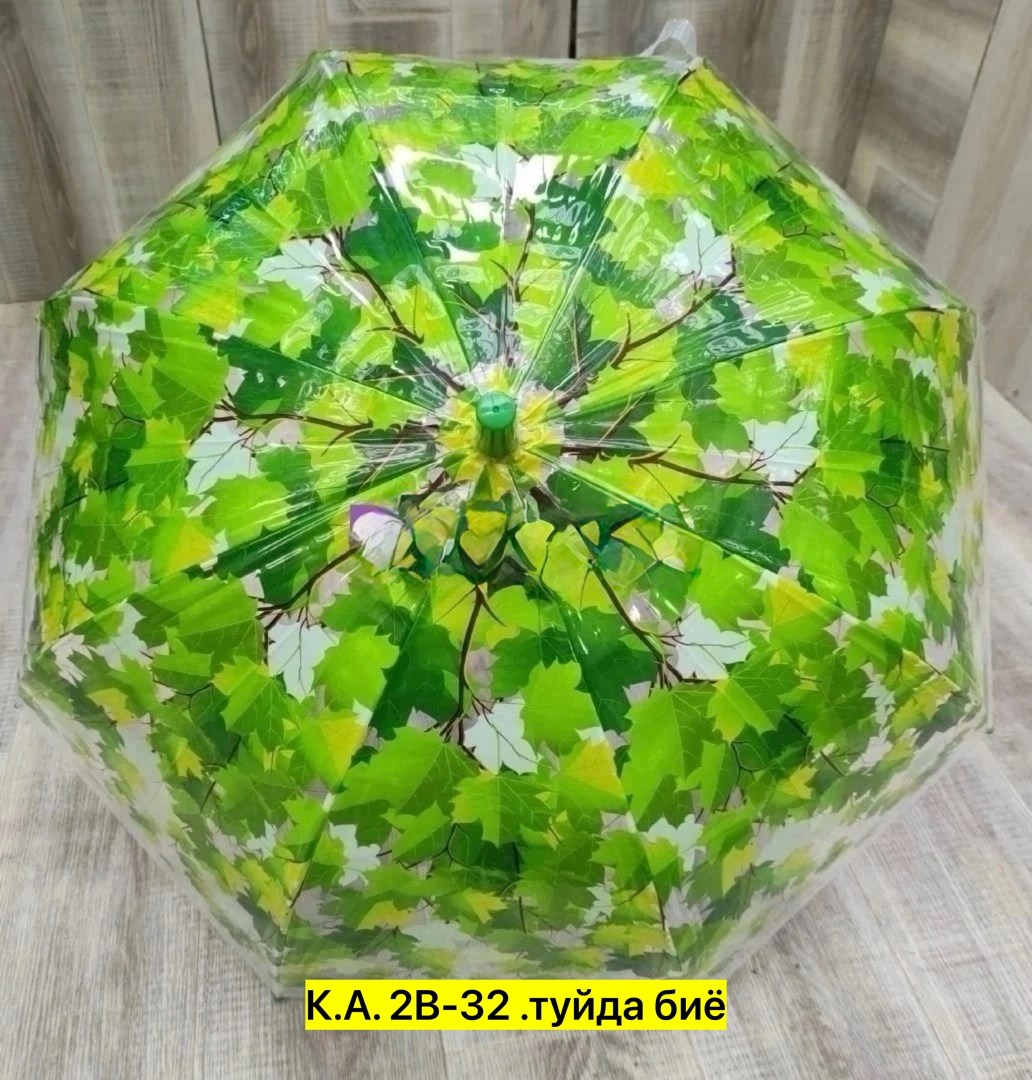 зонт,зонтик,зонт зонт,прозрачный зонт,прозрачный зонтик