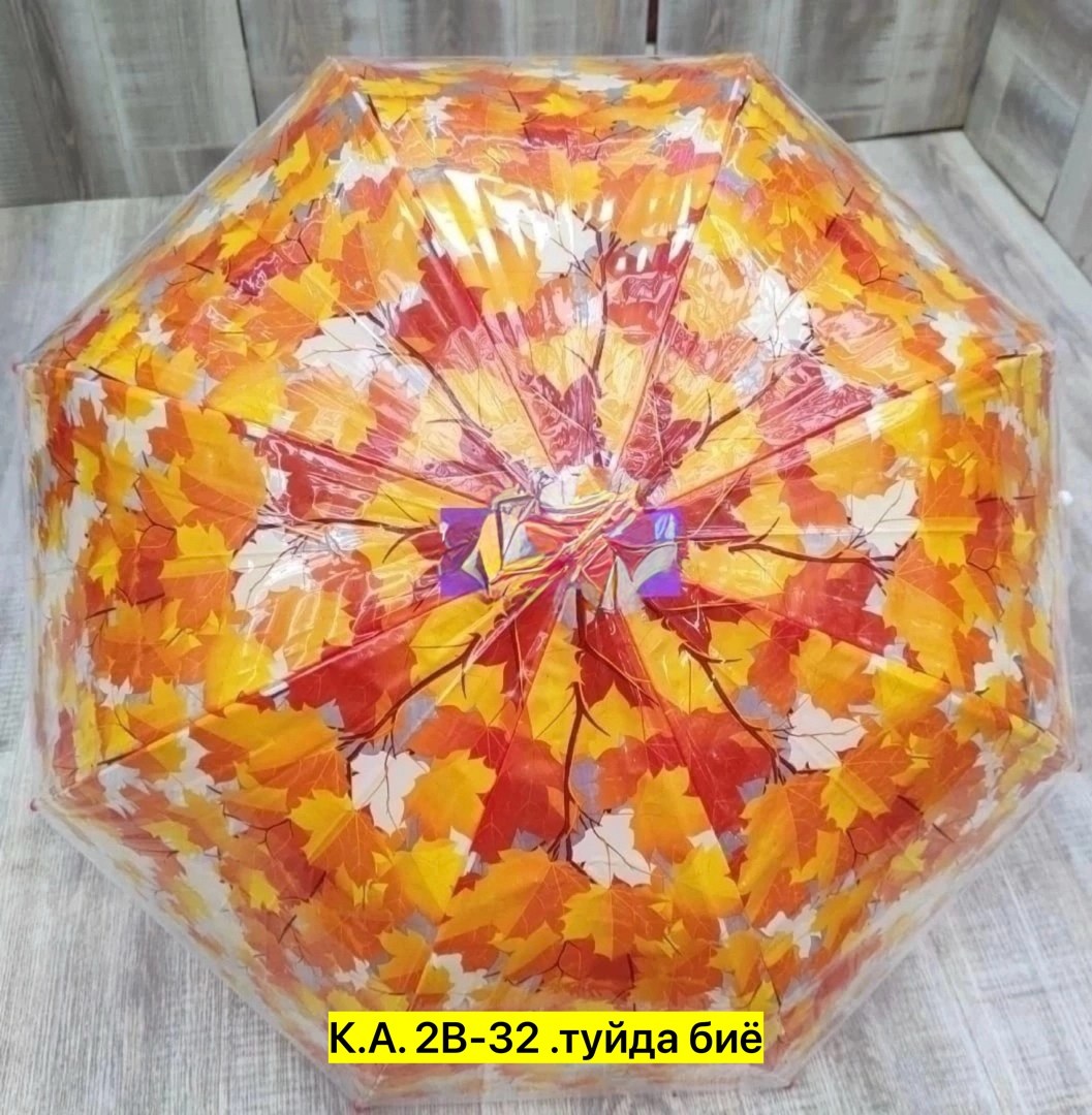 зонт,зонтик,зонт зонт,прозрачный зонт,прозрачный зонтик