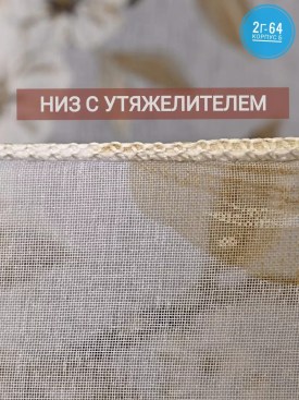 Одежда