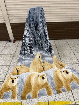 Одежда