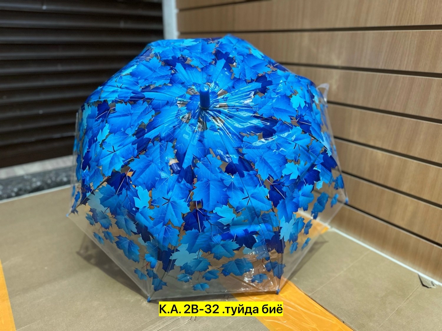 зонт,зонтик,зонт зонт,прозрачный зонт,прозрачный зонтик