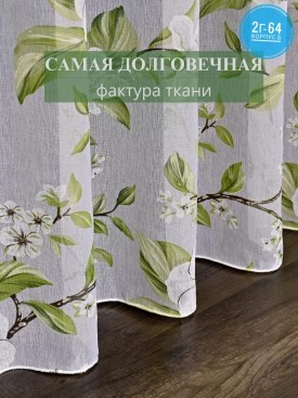 Одежда