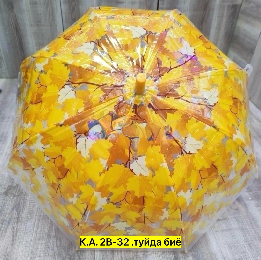 зонт,зонтик,зонт зонт,прозрачный зонт,прозрачный зонтик