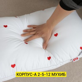 Одежда
