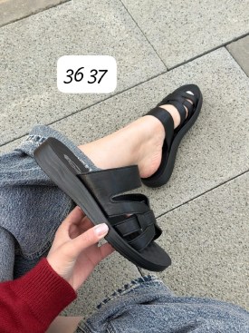 Сланцы