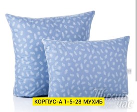 Одежда