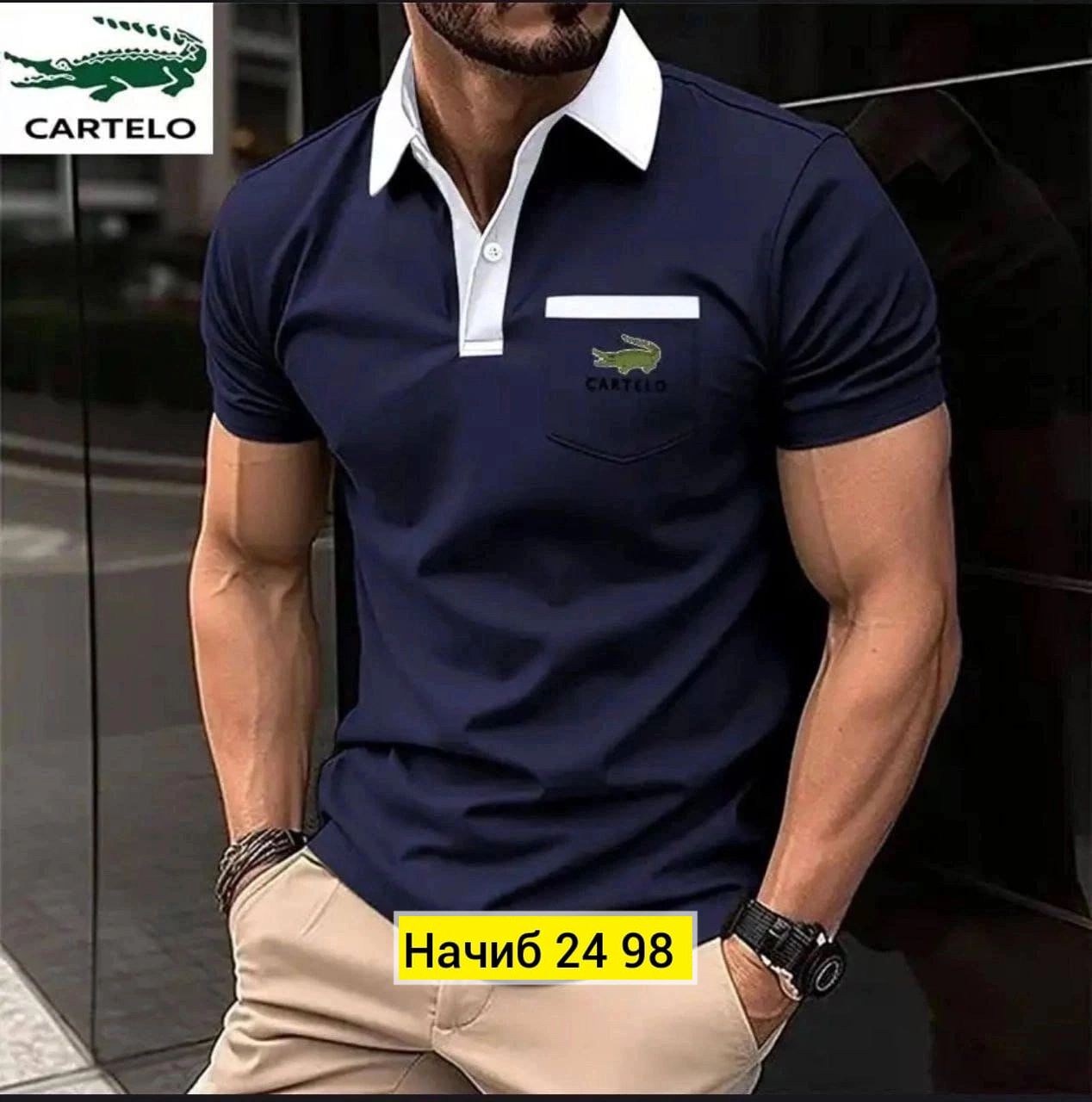 мужские футболки поло,футболки мужские,футболки для мужчин,мужская рубашка поло,мужское одежда